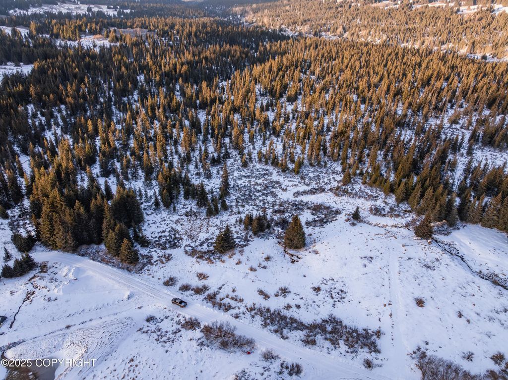 NKA W Shelton Avenue, Homer, AK 99603