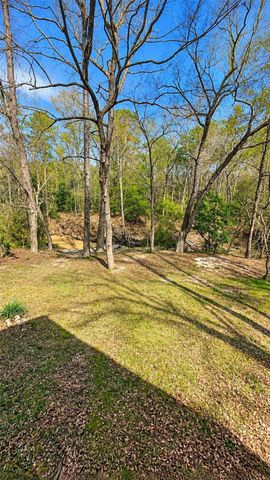 21173 Shakey Hollow, Conroe, TX 77306