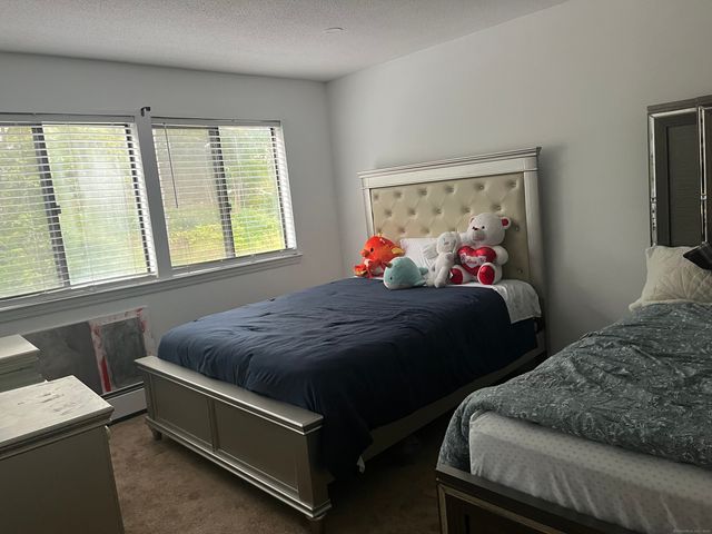 8 Ann Drive APT B, Danbury, CT 06810