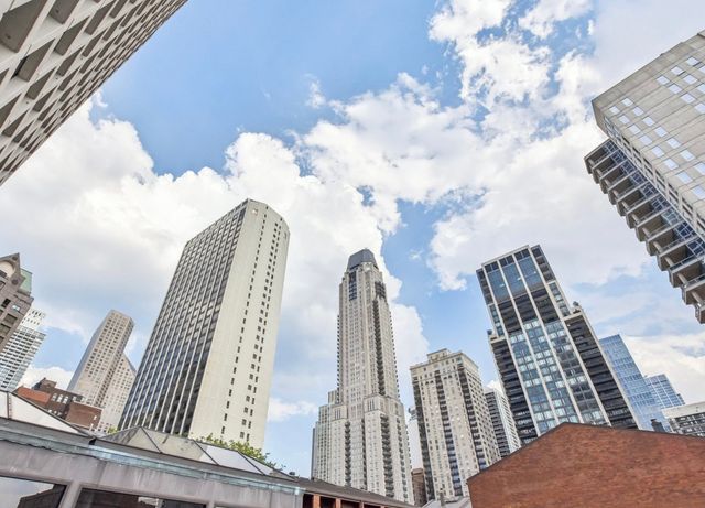 1030 N State Street 41A, Chicago, IL 60610