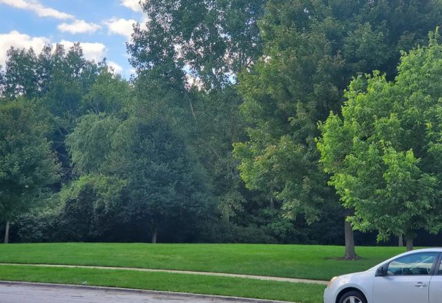 1449 McClure Road 1449, Aurora, IL 60505