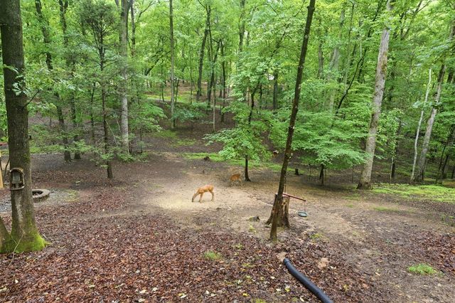 208 Saddle Ridge Drive, Blairsville, GA 30512