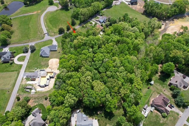 37 McCorkle Rd, White Pine, TN 37890