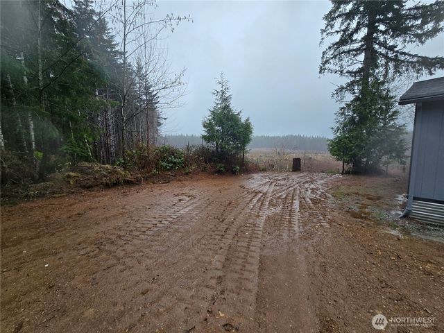 80 W Satsop Drive, Elma, WA 98541