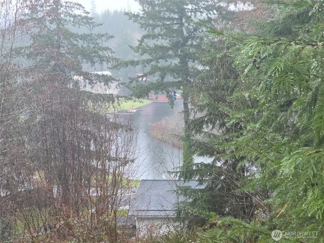 80 W Satsop Drive, Elma, WA 98541