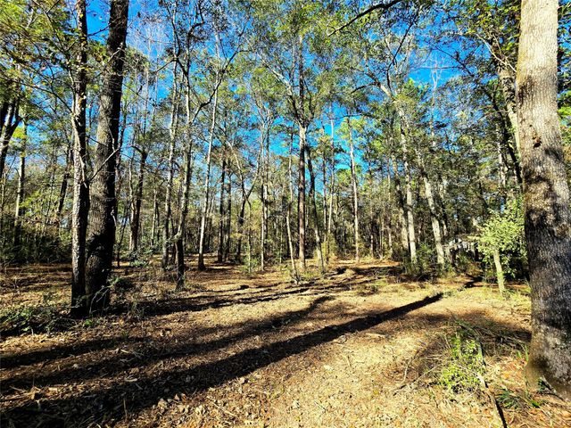 28028 Crossway Oaks, Magnolia, TX 77355