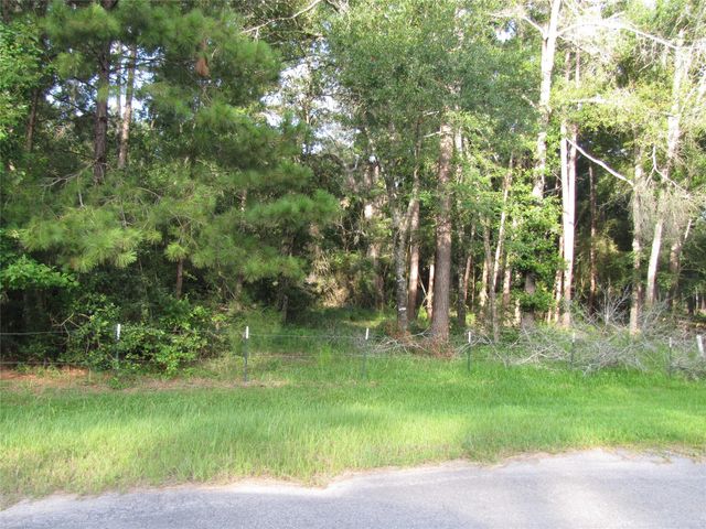 28028 Crossway Oaks, Magnolia, TX 77355