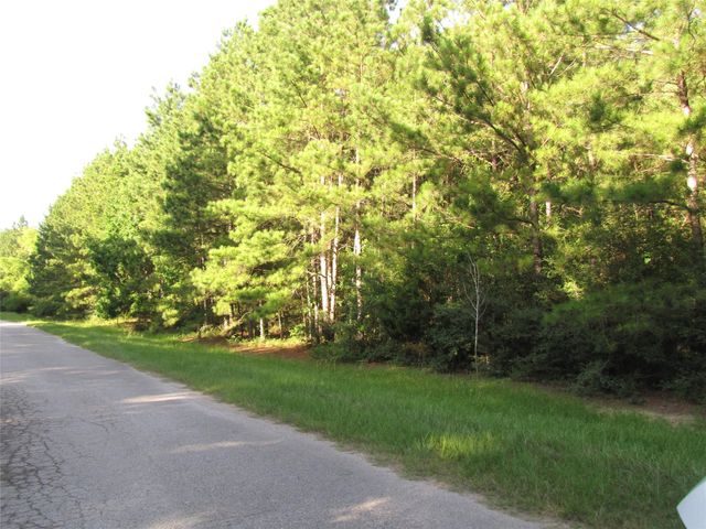 28028 Crossway Oaks, Magnolia, TX 77355