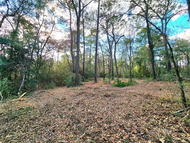 28028 Crossway Oaks, Magnolia, TX 77355