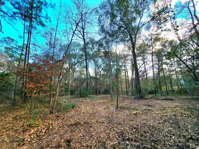 28028 Crossway Oaks, Magnolia, TX 77355