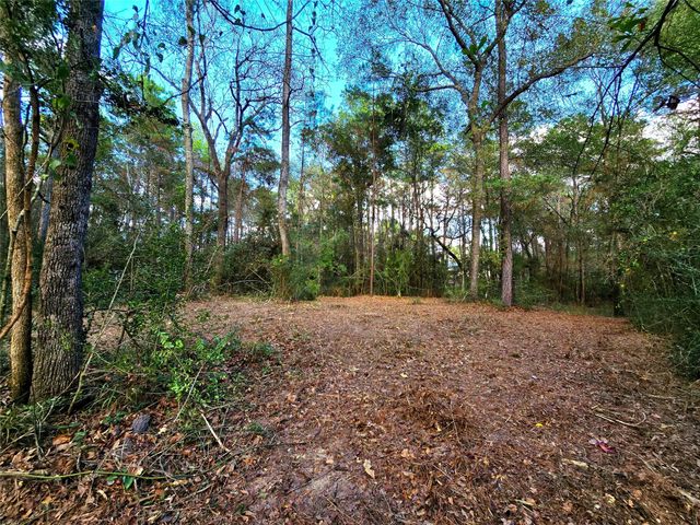 28028 Crossway Oaks, Magnolia, TX 77355