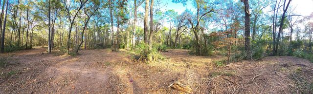 28028 Crossway Oaks, Magnolia, TX 77355