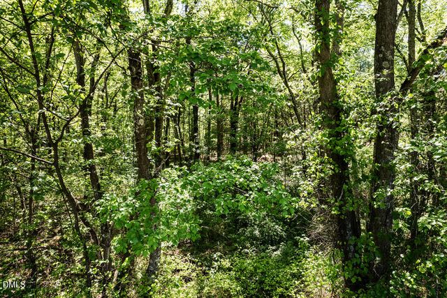 0 S South Nc 87 Hwy, Graham, NC 27253