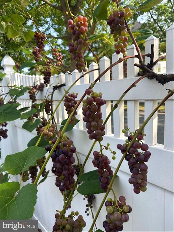 Image 58 of property listing at 1233 PARK ST, Robbinsville, NJ 08691