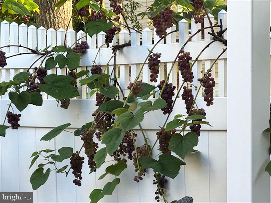 Image 59 of property listing at 1233 PARK ST, Robbinsville, NJ 08691