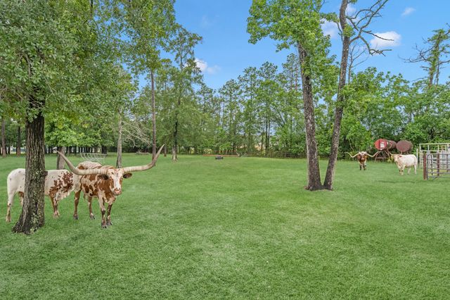 2410 Foley Road, Crosby, TX 77532