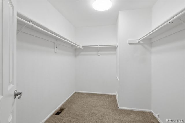 301 Mountain Cloud Circle, Highlands Ranch, CO 80126