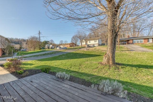 315 Piercy Street, Blountville, TN 37617