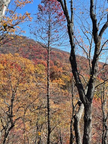 160 Wood Poppy View, Big Canoe, GA 30143