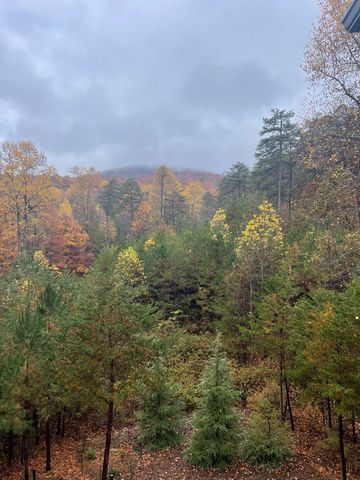 160 Wood Poppy View, Big Canoe, GA 30143