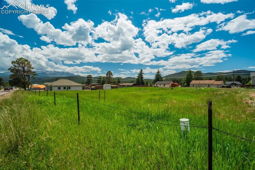 Baldwin Street, Woodland Park, CO 80863 — photo 2