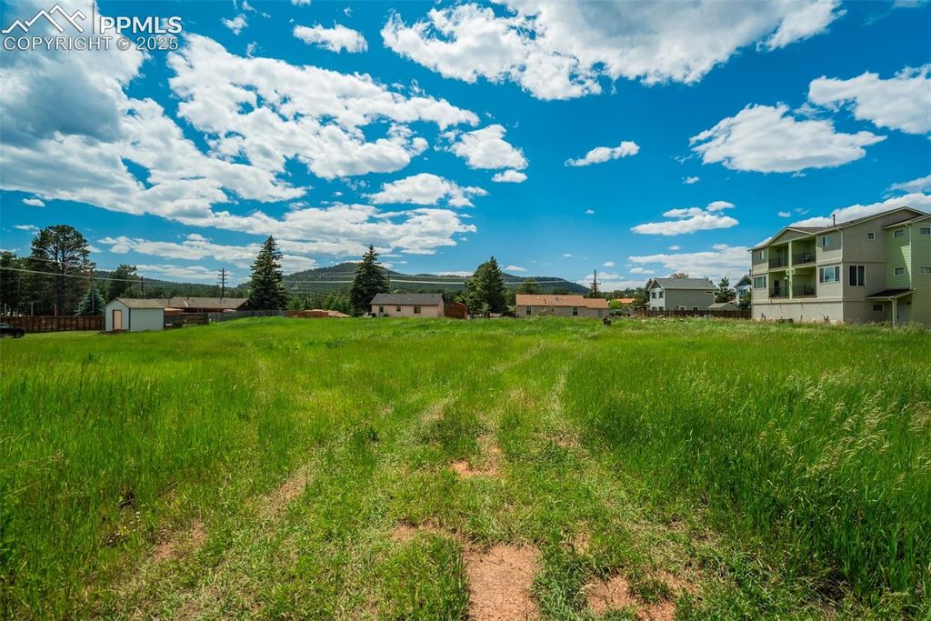Baldwin Street, Woodland Park, CO 80863 — photo 4