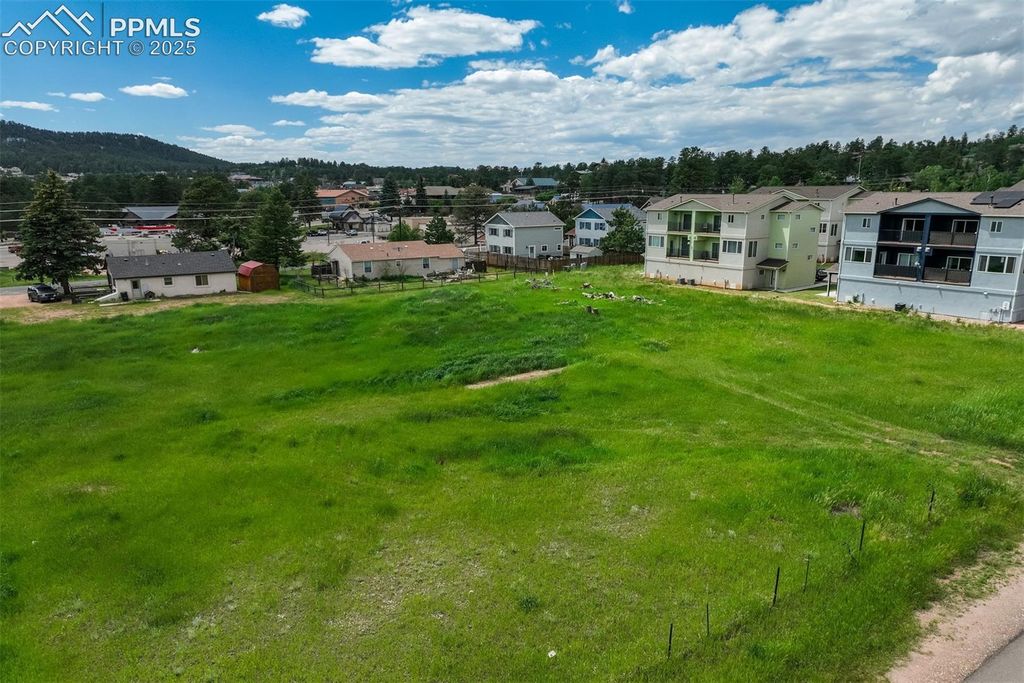 Baldwin Street, Woodland Park, CO 80863 — photo 5
