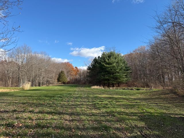 11355 Battle Creek Highway, Bellevue, MI 49021