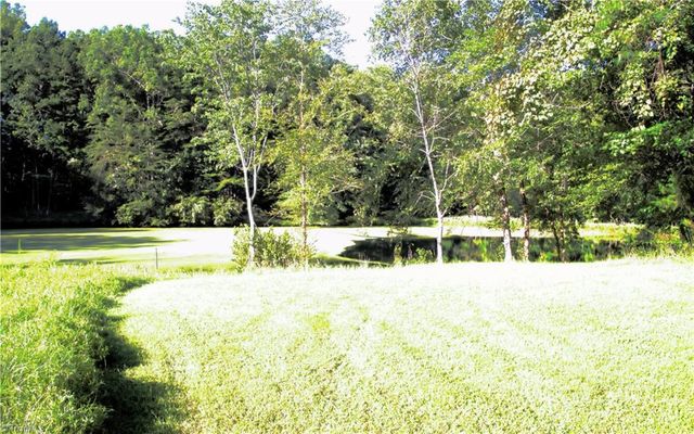 307 Valleygreen Trail, Pinnacle, NC 27043