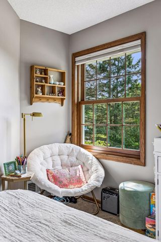 210 Piedmont Court, Chanhassen, MN 55317