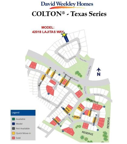 1708 Dumas Street, Todd Mission, TX 77316