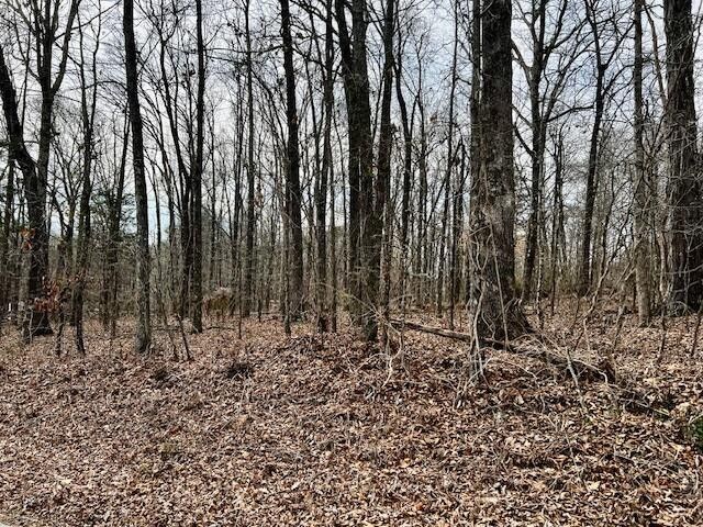 380 County Road 709, Riceville, TN 37370