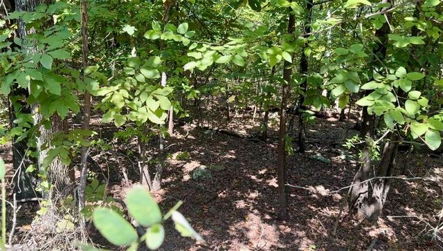 Marian Lane, Eufaula, OK 74432