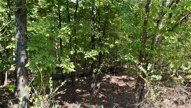 Marian Lane, Eufaula, OK 74432