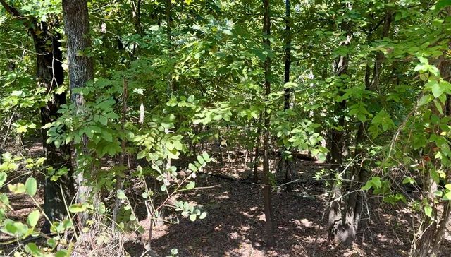 Marian Lane, Eufaula, OK 74432