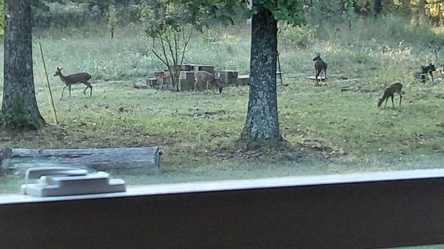 9350 SE 500 Road, Collins, MO 64738