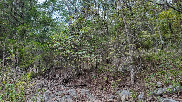 9350 SE 500 Road, Collins, MO 64738