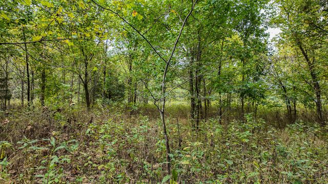 9350 SE 500 Road, Collins, MO 64738