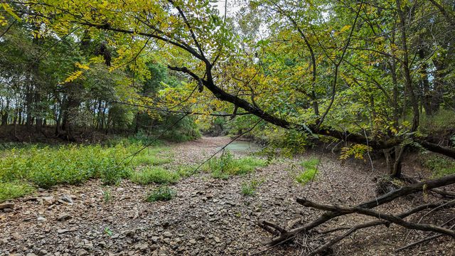 9350 SE 500 Road, Collins, MO 64738