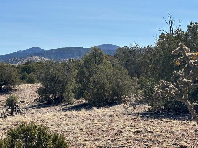 3 Old Rail Pass Trail, Sandia Park, NM 87047