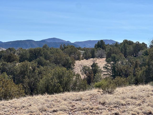 3 Old Rail Pass Trail, Sandia Park, NM 87047