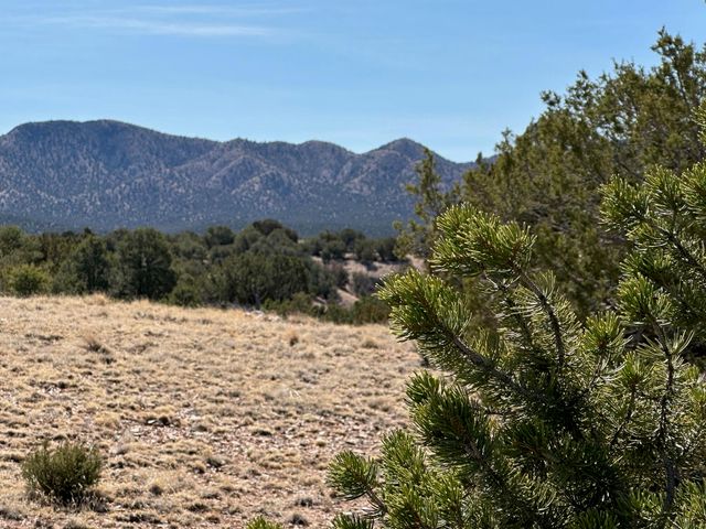 3 Old Rail Pass Trail, Sandia Park, NM 87047