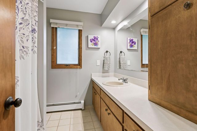 1461 N Arm Drive, Mound, MN 55364