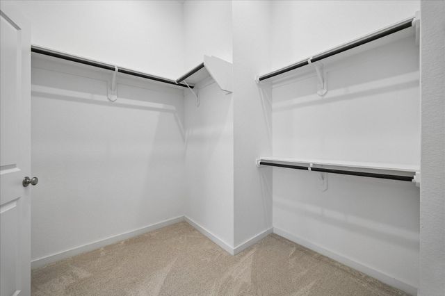 15823 Bird Of Paradise Drive, Conroe, TX 77302