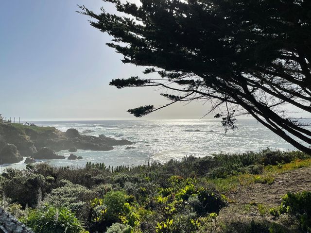 142 Carmel Riviera Drive, Carmel, CA 93923