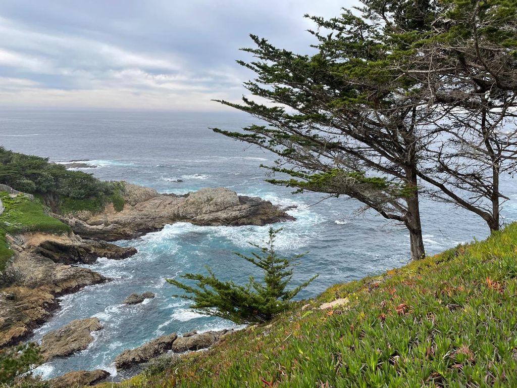 142 Carmel Riviera Drive, Carmel, CA 93923