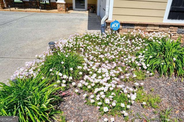 216 Patti Place, Canton, GA 30114