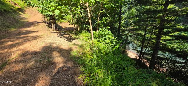 Tbd Lake Hill, Butler, TN 37640