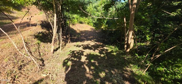 Tbd Lake Hill, Butler, TN 37640