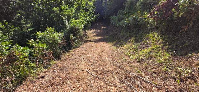 Tbd Lake Hill, Butler, TN 37640